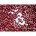 2015 Nouveau récolte Bonne qualité Bean rouge